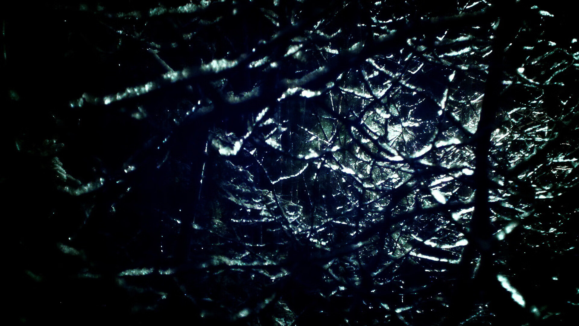 _球迷全场助威:场边欢呼声此起彼伏_,球场球迷喊的什么