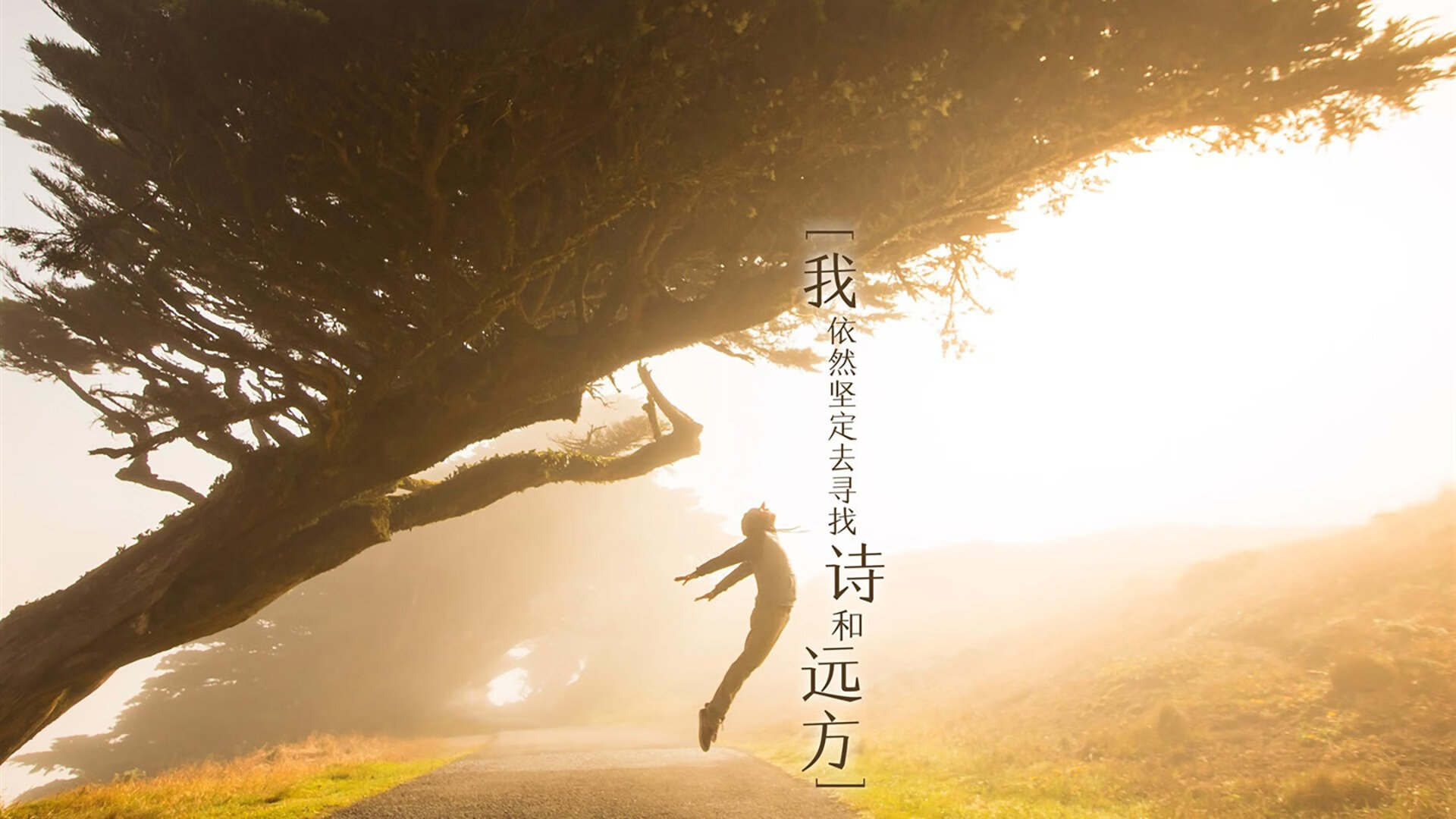 “中超联赛引入虚拟现实体验,提升观众沉浸感”,中超举办