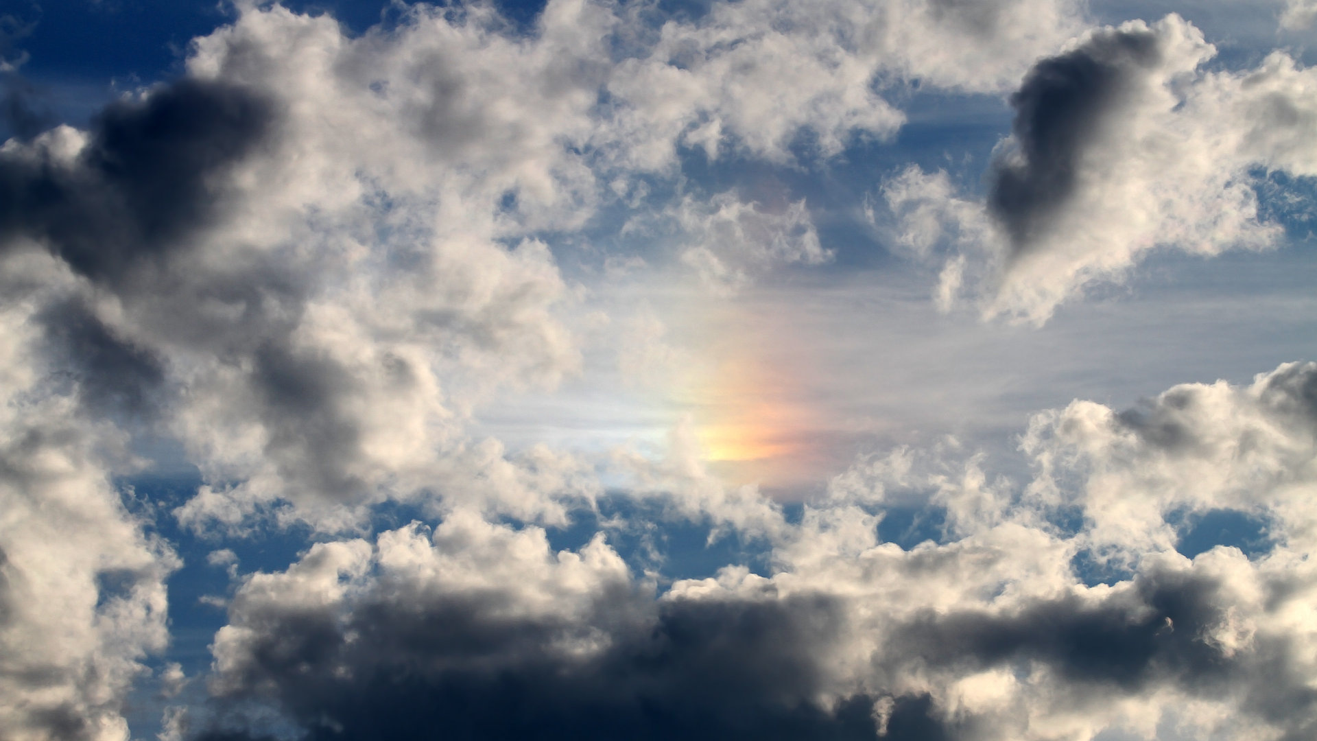 国际泳联赛:卫冕冠军再现神勇,国际泳联比赛规则