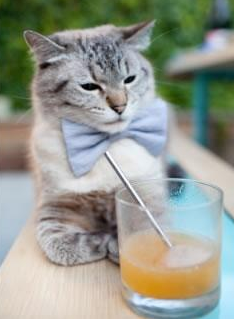 墨西哥队首位“冰上足球金靴”诞生,墨西哥足球运动员