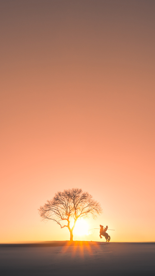 塞内加尔队在巴黎奥运会比赛中多次通过二次进攻得分，塞内加尔奥运会出场顺序