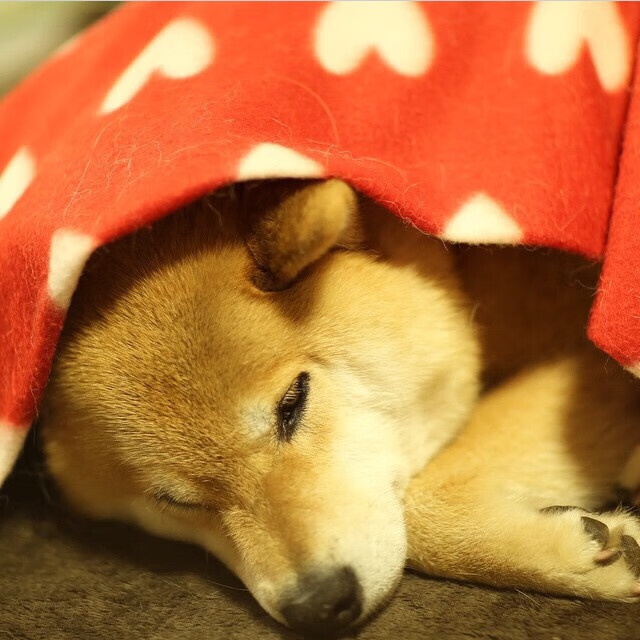 kaiyun官方网站-王者荣耀 赛季后半程精彩纷呈，王者荣耀赛季结束什么时候更新段位