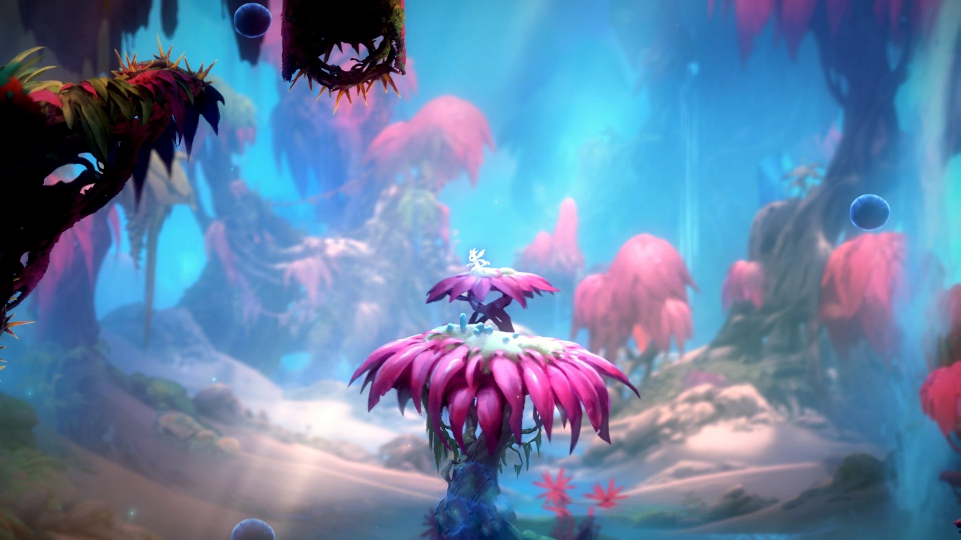 开云官方网页登录-英超逆转，教练点赞表现，英超最新教练名单