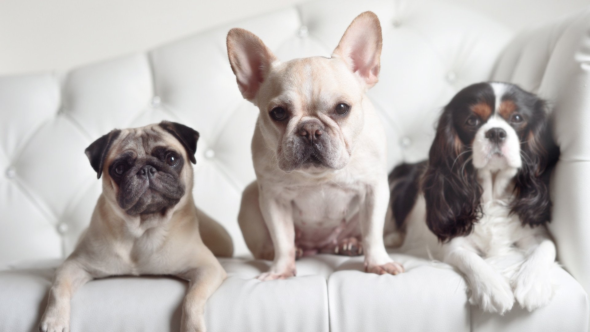 开云·体育官网-英雄联盟高校联赛：谁将代表高校出战？，lol高校联赛选手的水平