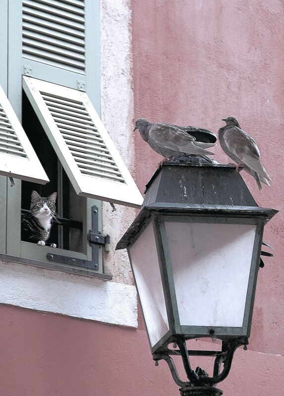 开云官方-青少年“篮球梦工厂”在天津正式启用，打造青训新高地，2020天津青少年篮球锦标赛