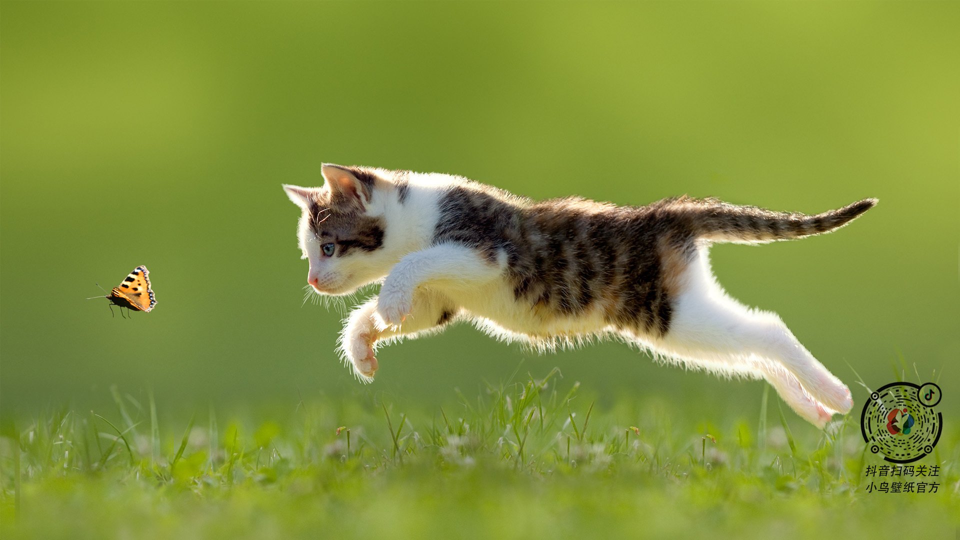 开云官方网页登录-东部冠军争夺战进入白热化阶段，东部冠军热火