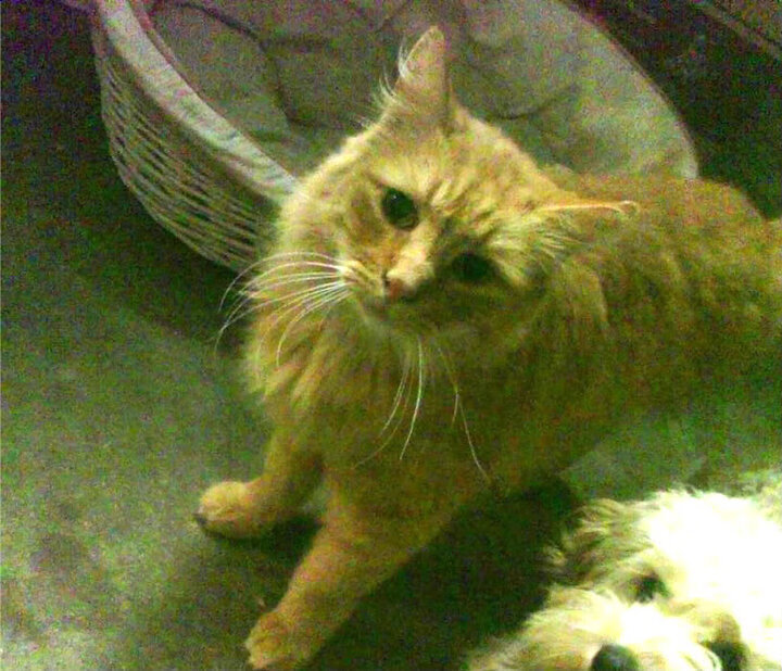 东部冠军争夺战进入白热化阶段，东部冠军热火