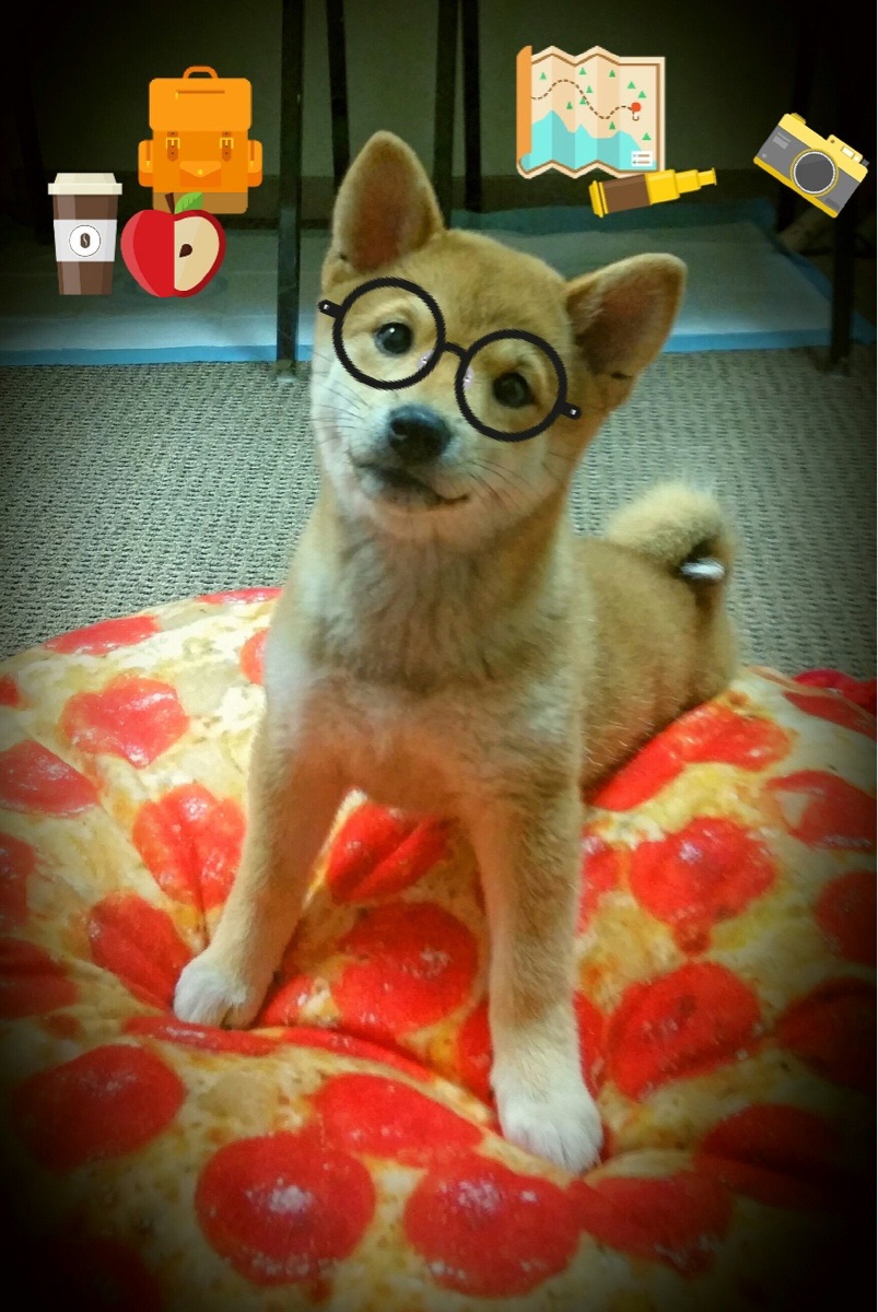 kaiyun网站-北美CS_GO赛事热度攀升，csgo北美赛区赛事直播