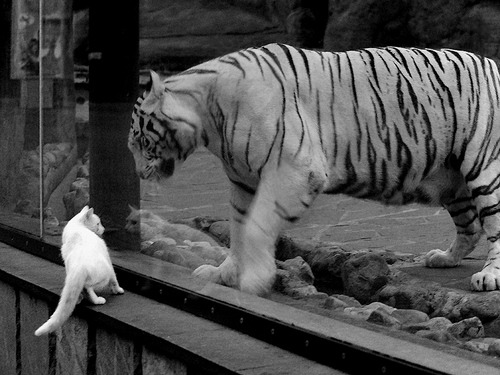 kaiyun开云·官方网站-国足大获全胜，晋级重要大赛八强，国足八场比赛