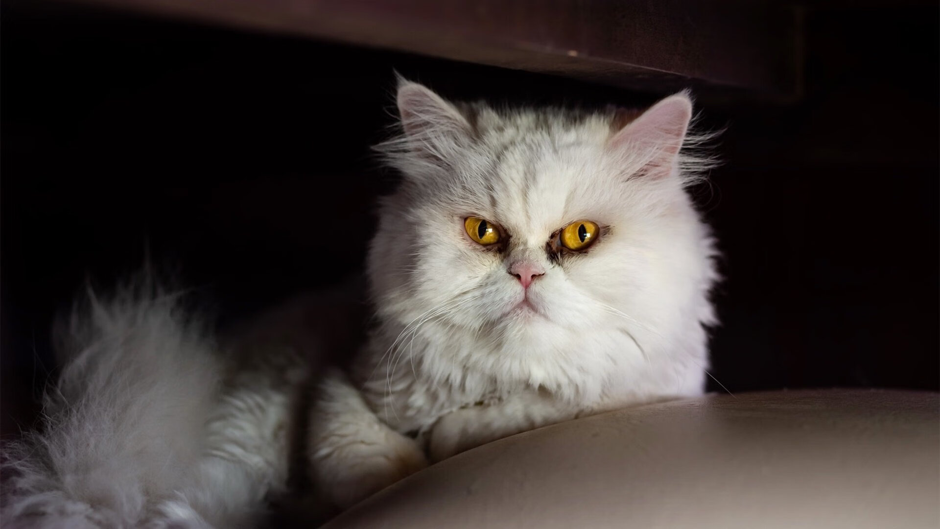 日本男足全场高能，打出高水平！，日本男足全场高能,打出高水平选手