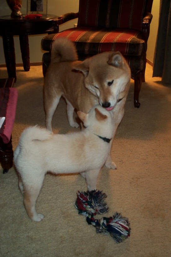 开云平台-普拉提与冥想结合，促进身心平衡，普拉提冥想话术引导