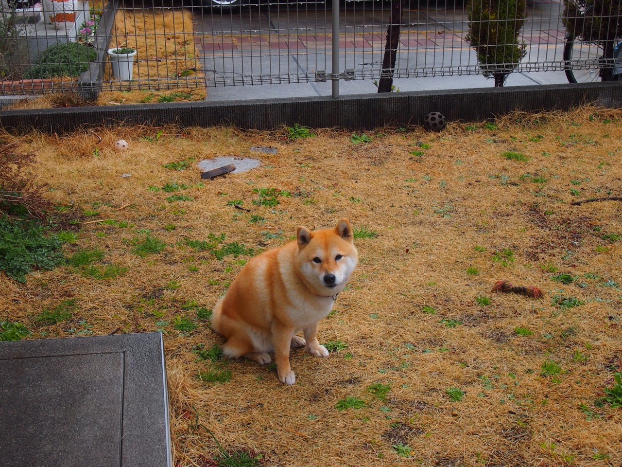 开云官网APP下载-曼联客场力克对手，赢得关键三分，曼联打利物浦阵容