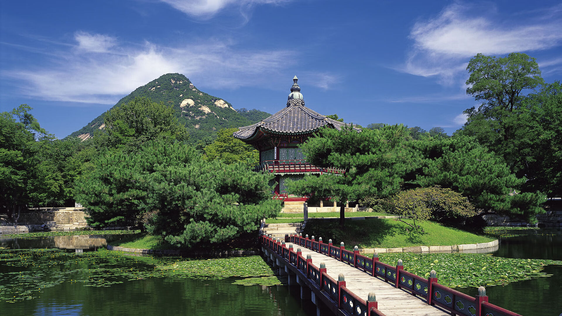 突尼斯球队防守端表现出色，突尼斯联赛积分榜