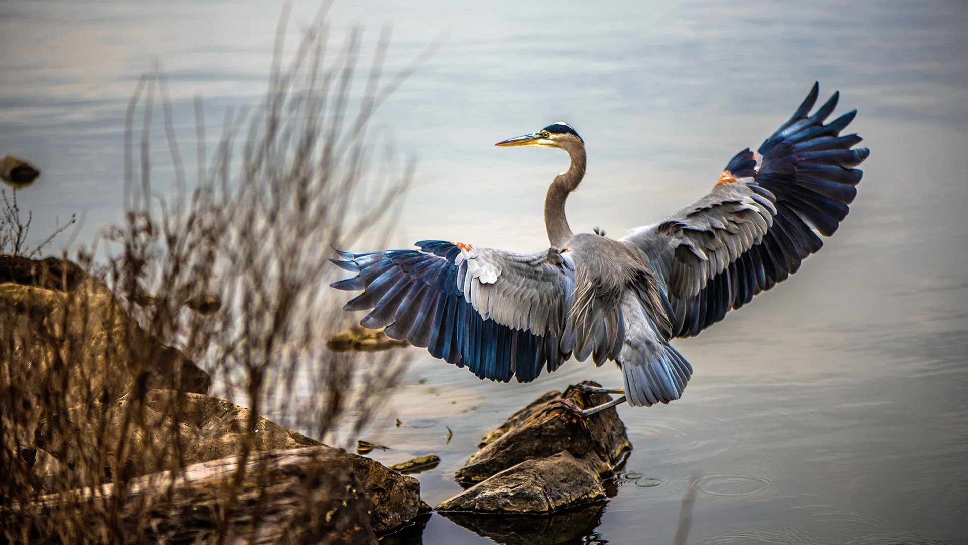 开云官方-葡萄牙炮手梅开二度，领衔攻击线，葡萄牙射手榜