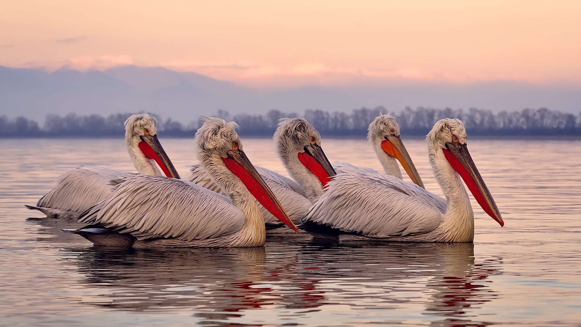 足球职业联赛新晋球队实力强劲,冲击前列,足球职业联赛什么时候开始