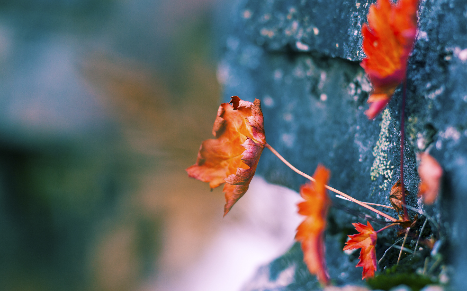 kaiyun开云·官方网站-雄鹿主帅称赞球队防守端表现，强调继续努力，雄鹿是防守球队嘛