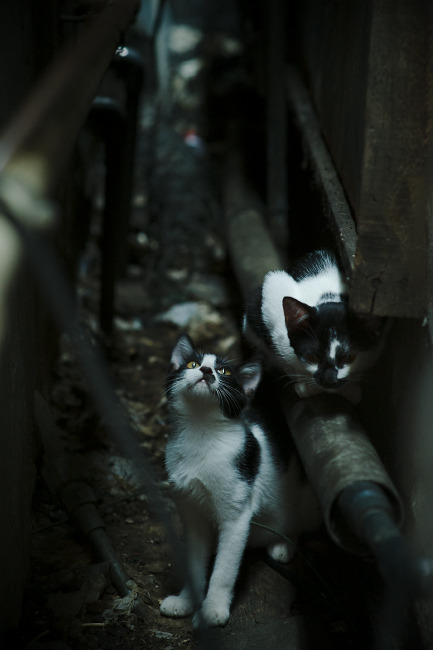 雄鹿主帅称赞球队防守端表现,强调继续努力,雄鹿是防守球队嘛