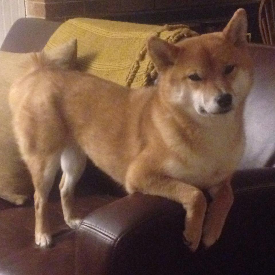 体育课程对学生身体意象认知影响研究，体育课程对部分身体异常