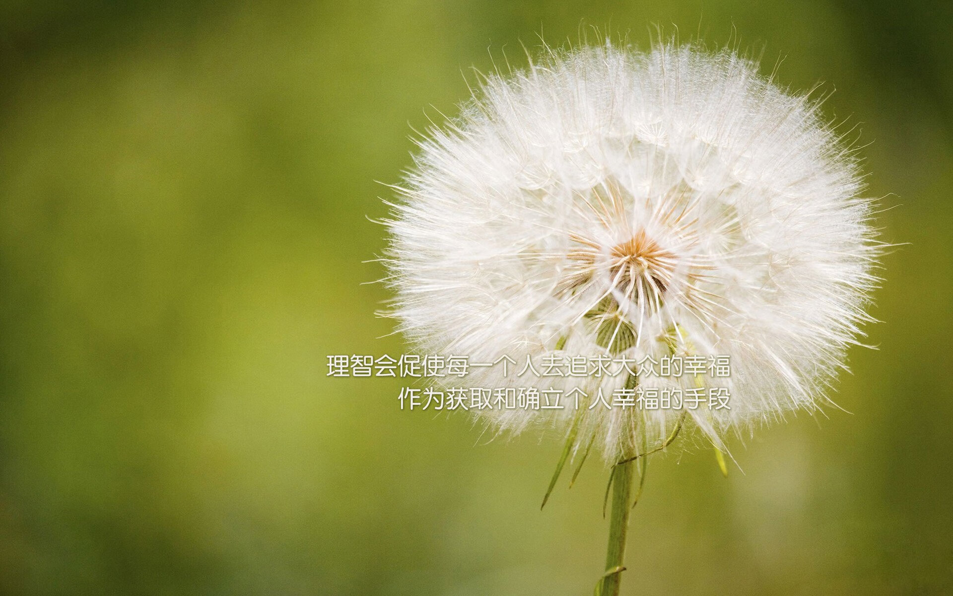 国足比赛比赛数据总结,国足比赛统计