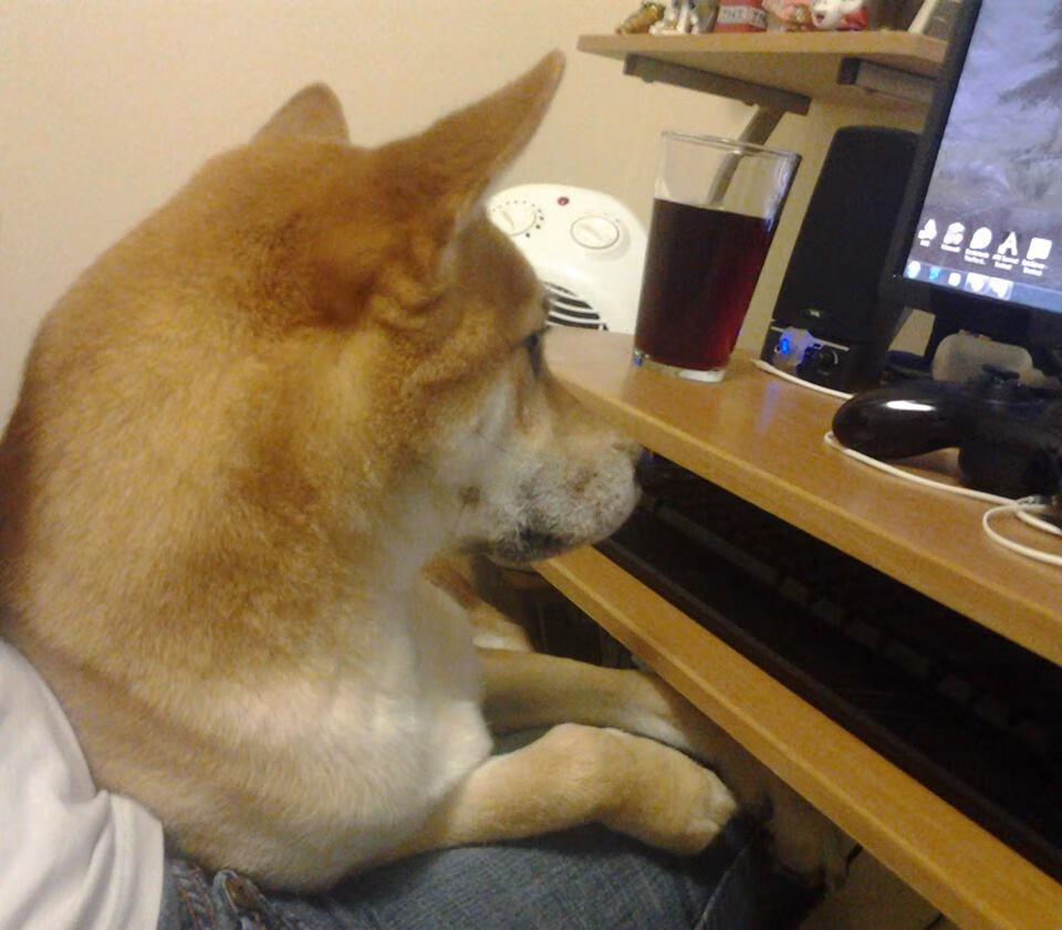 德甲青训心理韧性培养促进比赛压力应对能力