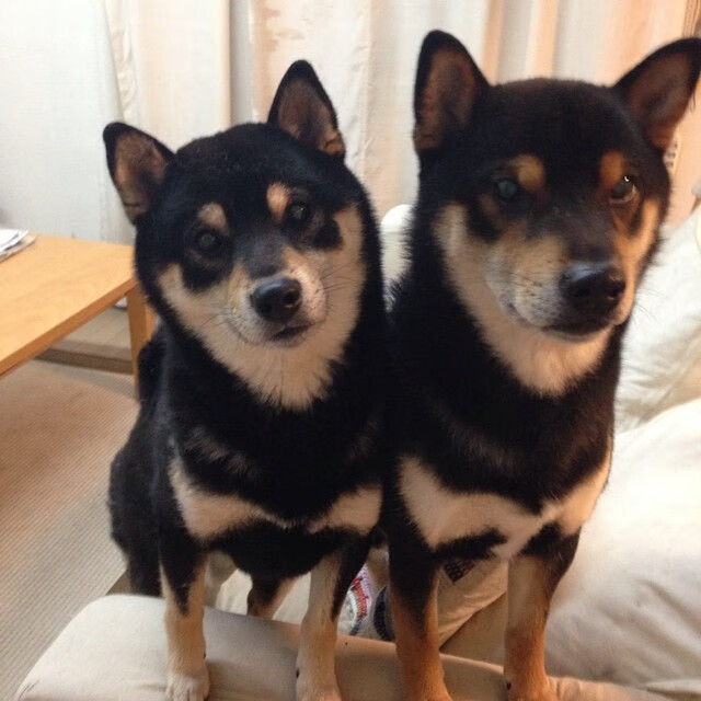 kaiyun开云·官方网站-体育医疗研究所启动肌肉疲劳模型建档工程，肌肉疲劳检测仪器