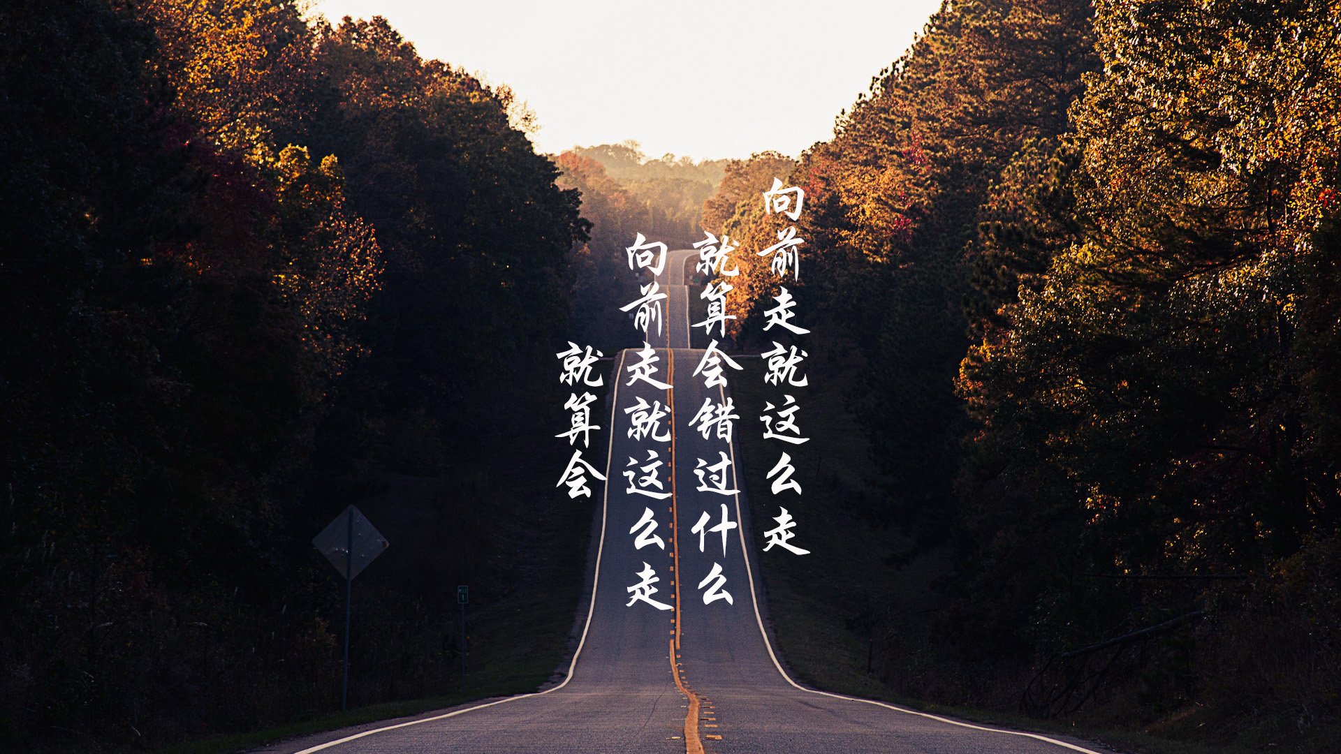 冠军速度模型及技术动作解析,冠军时刻百度百科