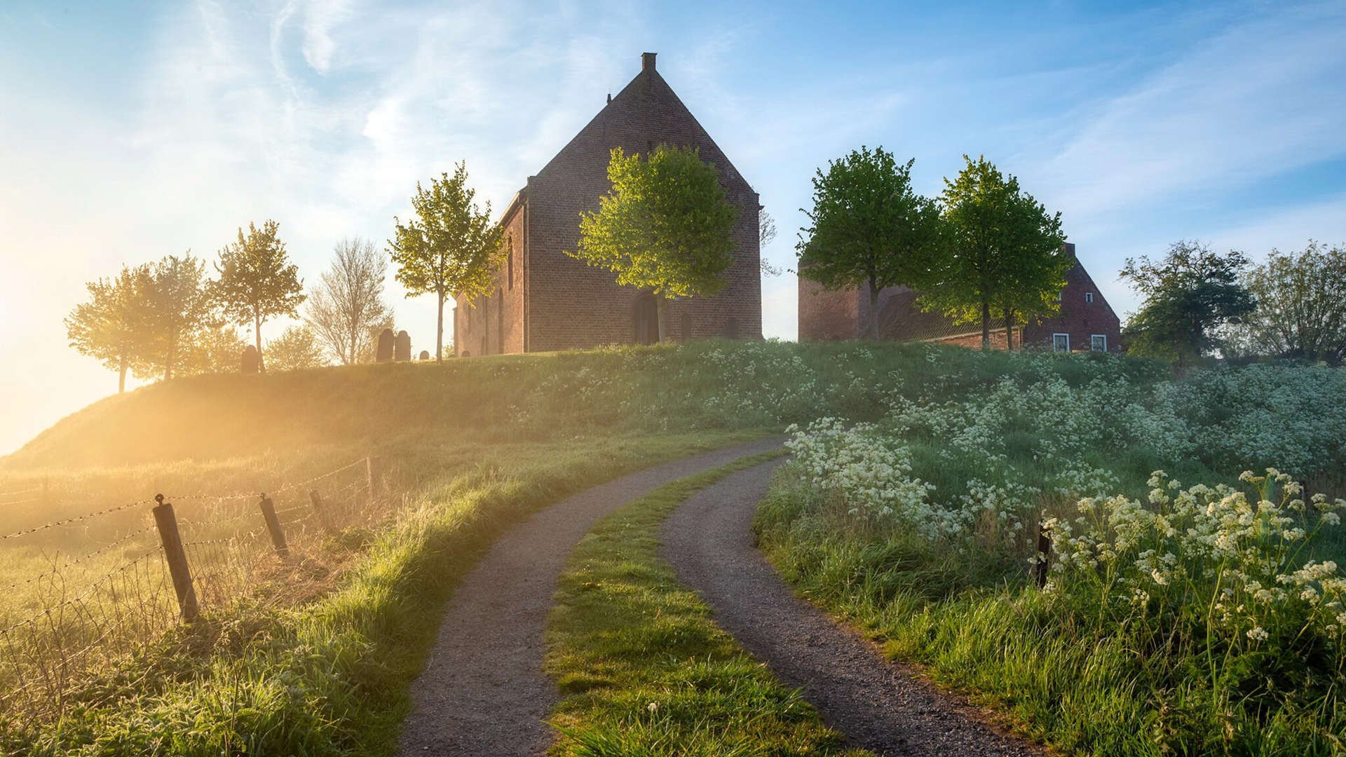 开云官方网页登录-国际乒联混合团体世界杯：罗马尼亚队如何应对国际大赛压力，罗马尼亚乒乓球运动员男