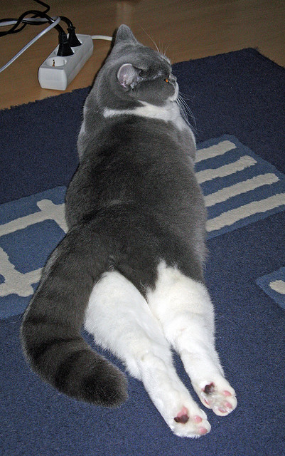 KAIYUN 中国大陆-得分核心是否应掌控节奏主导权