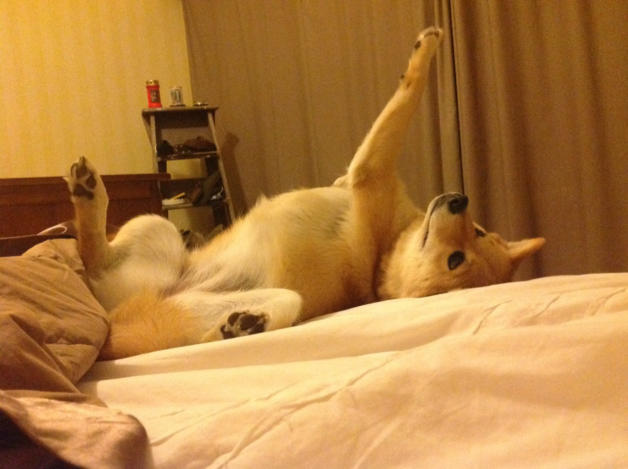 kaiyun官方网站-乌干达男篮在非洲预赛中奋勇直前，崛起势头不可阻挡，乌干达篮球联赛视频