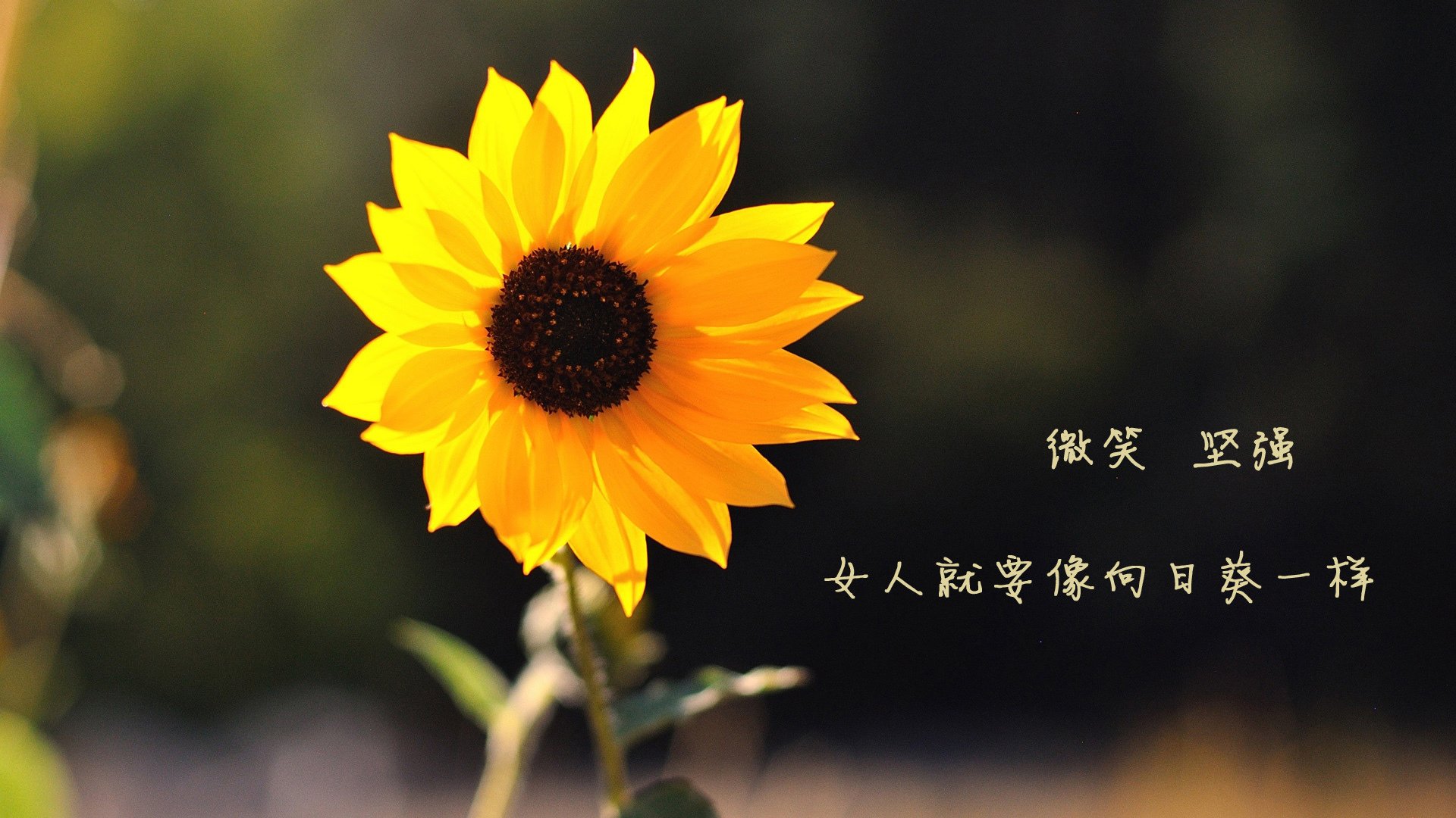 kaiyun网站-比赛后勤保障见成效，赛程执行顺利无误，比赛后勤保障方案