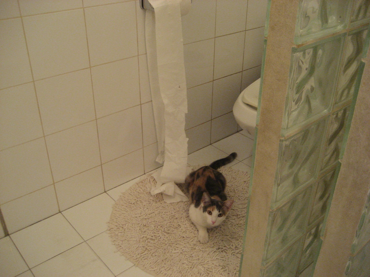 法国橄榄球队新战术布局，能否再次打破强队格局，法国橄榄球运动员